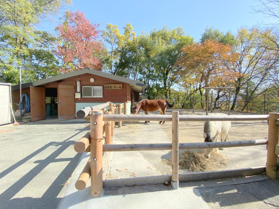 茶臼山動物園（ちゃうすやまどうぶつえん）