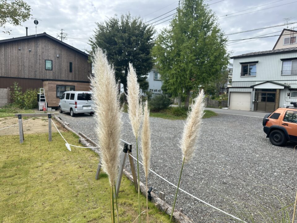The Lake Side Cafe(ザレイクサイドカフェ)
