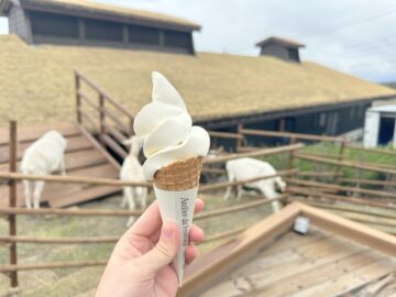 アトリエ・ド・フロマージュ 森のチーズテラス