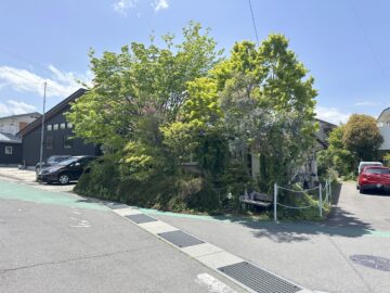 こつこつ豆と器