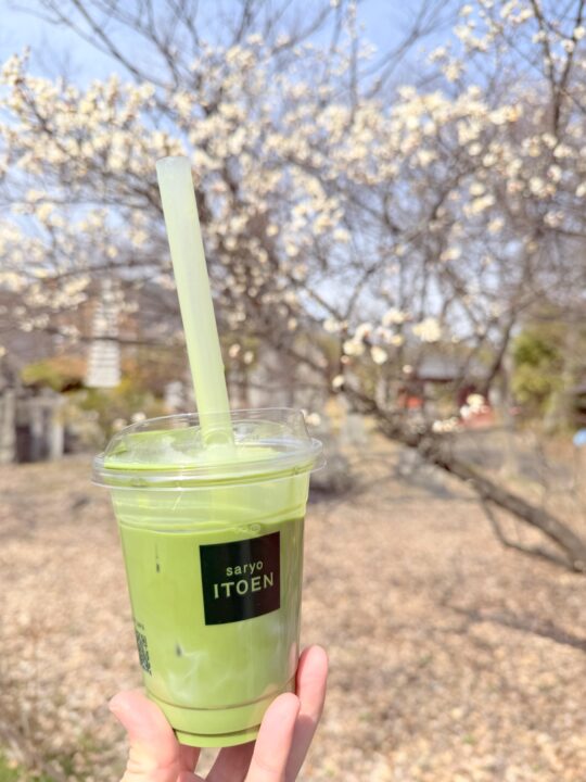 茶寮 伊藤園　善光寺店