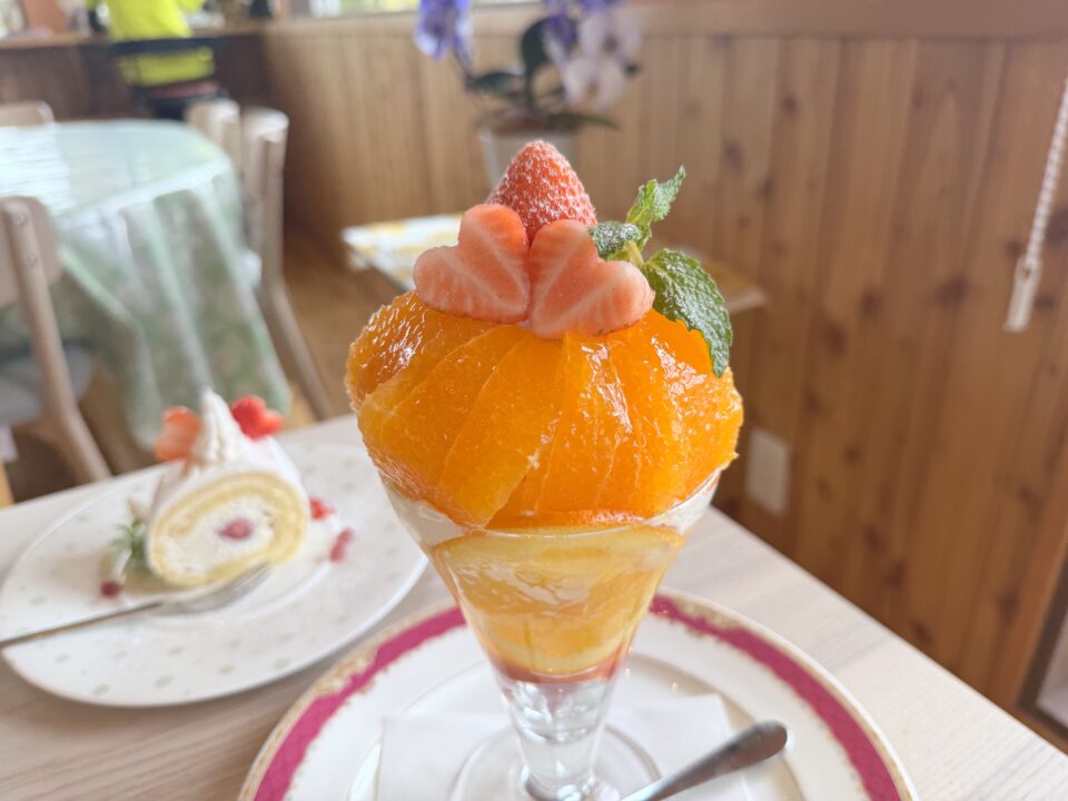 フルーツおばさん花水木（はなみずき）