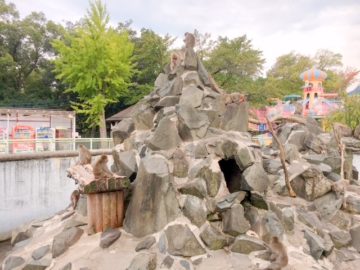 【長野市城山動物園】入園無料で楽しめる、長野市上松にある子連れに優しい動物園！！