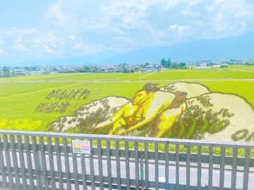 【2021田んぼアート御嶽海】安曇野のスイス村前で田んぼアート開催中！9月26日まで開催されています