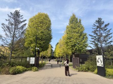ハリーポッターとしまえん・スタジオツアー東京