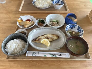 キッチンもみの木