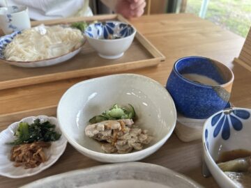 キッチンもみの木