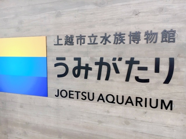 上越市立水族博物館 うみがたり】２０１８年６月２６日リニューアルオープン！イルカショー等の体験レポート。 | 【 創業65年 】芹田不動産  地元密着、長野市のお部屋探し・学生賃貸・空室対策・駐車場・土地活用・売買はお任せ下さい