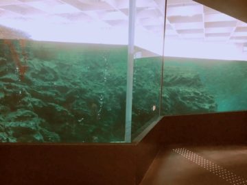 上越市立水族博物館うみがたりリニューアルオープン