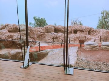 上越市立水族博物館うみがたりリニューアルオープン