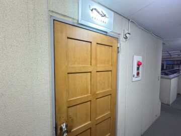 ピカソノオ園芸