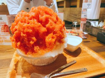 【エレファントマウンテン】松代にある美味しいかき氷が年中楽しめるカフェ！子連れに最適なスペースあり！